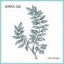 Rowan Oak - Hope And Ruin Ep (lim.ed/silk