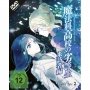 Koch Media Gmbh - The Irregular At Magic High Sc [DE-Version, Regio 2/B]