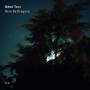 Oded Tzur - Here Be Dragons