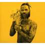 Rome Fortune - Jerome Raheem Fortune