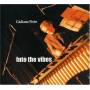 giuliano Perin - Into The Vibes