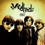 Yardbirds The - 1967 Live in Stockholm & Offenbach