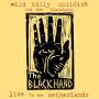 Wild Billy Childish & The Blackhands - Live In The Netherlands