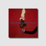 As December Falls - Everything's On Fire But I'm Fine (Ltd. Deluxe CD)