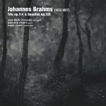 Jean-Marc Fessard / Jennifer Fichet / Diana Ligeti - Trio op.114/Sonates op.120 (works for clarinet)