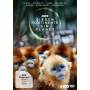David Attenborough (Presenter) - Sieben Kontinente-Ein Planet [DE-Version, Regio 2/B]