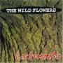 THE WILD FLOWERS - Backwoods