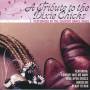 The Country Dance Kings - Tribute To The Dixie Chicks