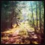 Like Elephants - Oneironaut (lp+mp3+cd)