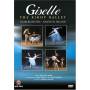 Adam / Mezentseva / Fedotov - Giselle [US-Version, Regio 1]