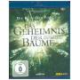 Various - Das Geheimnis der Bume BD [DE-Version, Regio 2/B]