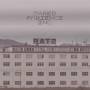 Jared Ambience Inc. - Rats