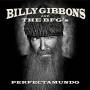 Billy Gibbons - Perfectamundo