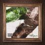 Obie Trice - The Hangover