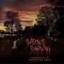 Shadow's Symphony - Threshold Of Forgotten Souls
