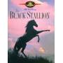 Black Stallion / (rpkg) - Black Stallion [US-Version, Regio 1]