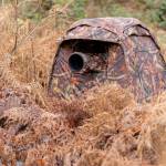 Buteo Photo Gear 1