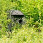 Buteo Photo Gear 1