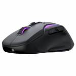 Turtle Beach 1
