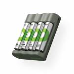 Gp Batteries 10