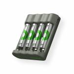 Gp Batteries 10