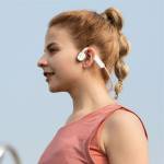 Shokz 4