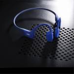 Shokz 3