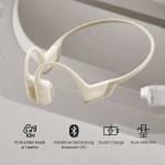 Shokz 1