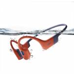 Shokz 2
