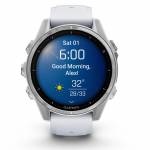Garmin 12