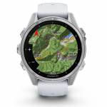 Garmin 10