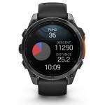 Garmin 12