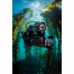 Sealife 1