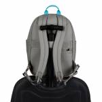Pacsafe 2