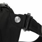 Pacsafe 13