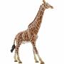 Schleich - Schleich Wild Life Giraffen Bull
