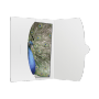 Daiber - 1x50 Daiber Cover 15x20 white
