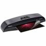 Fellowes 1