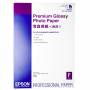 Epson - Premium Glossy Photo Paper - Fotopapier, glnzend - A2 (420 x 594 mm) 25 Blatt - fr Stylus Pro 11880, Pro 38XX, SureC