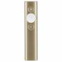 Logitech - Logitech Spotlight gold wireless presenter