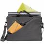 Riva Case 2