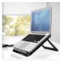 Fellowes 1