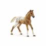 Schleich 1