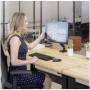 Fellowes 2