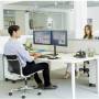 Fellowes 1