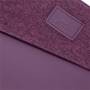 Riva Case 4