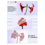 Olympia - 1x100 Olympia Laminierfolien DIN A4 125 micron 9176