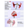 Olympia - Laminierfolien DIN A6, 100 Stck 125 mic