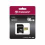 Transcend 1