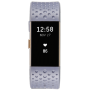 Fitbit [hardware/ electronic] Fitbit Charge 2 Special Edition